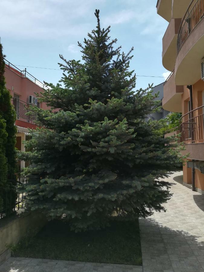 Hotel Dalia Nesebar Exterior photo